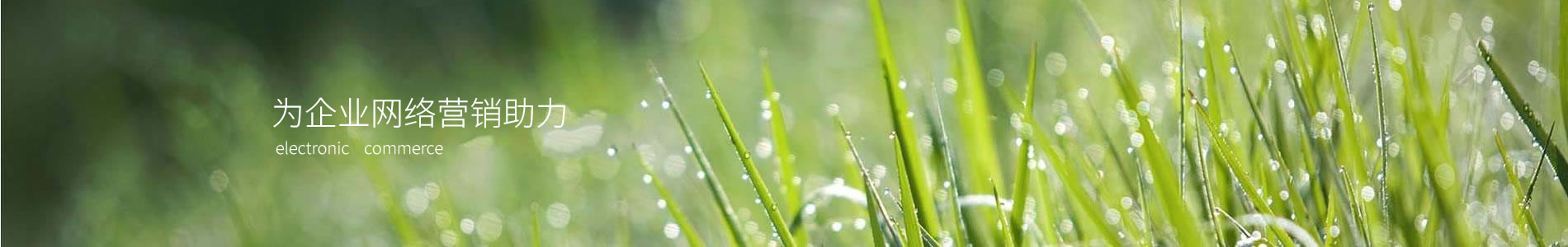 ˴Ƽ޹˾